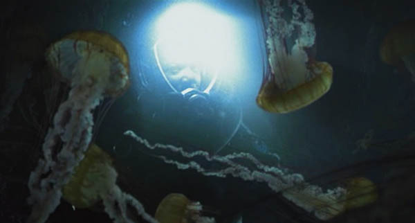 A bad Jellyfish trip